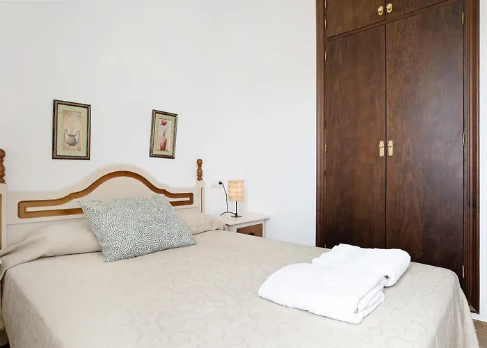 Estudio Pacifico 201 콘일데라프론테라